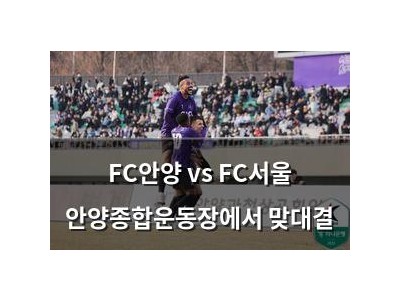 FC안양 vs FC서울 안양종합운동장에서 맞대결