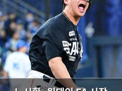 노시환·원태인 FA 시장 뜨거운 감자 되다