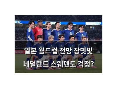 일본 월드컵 전망 장밋빛 네덜란드 스웨덴도 걱정?