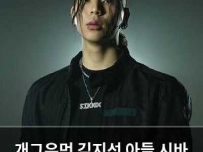개그우먼 김지선 아들 시바 건강 이상 고백