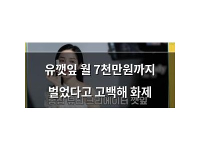 유깻잎 월 7천만원까지 벌었다고 고백해 화제
