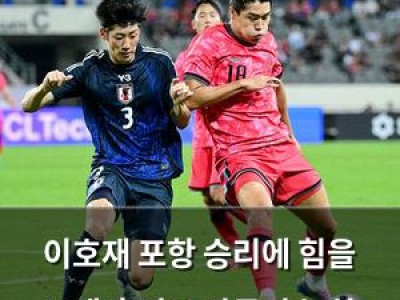 이호재 포항 승리에 힘을 보탠 홍명보 감독의 눈치