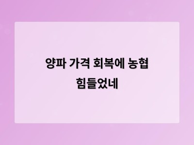 농협의 노력으로 양파 가격이 회복되자 농가와 소비자가 각각 반응