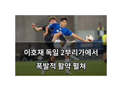 이호재 독일 2부리가에서 폭발적 활약 펼쳐