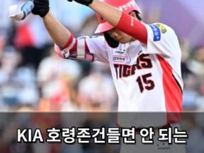 KIA 호령존건들면 안 되는 이유